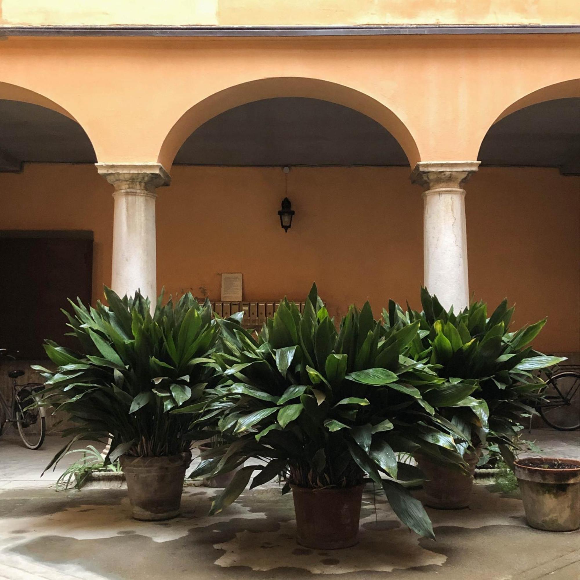 Апартаменти Casa Giulietta Кремона Екстер'єр фото